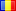 Automatic Google translation
